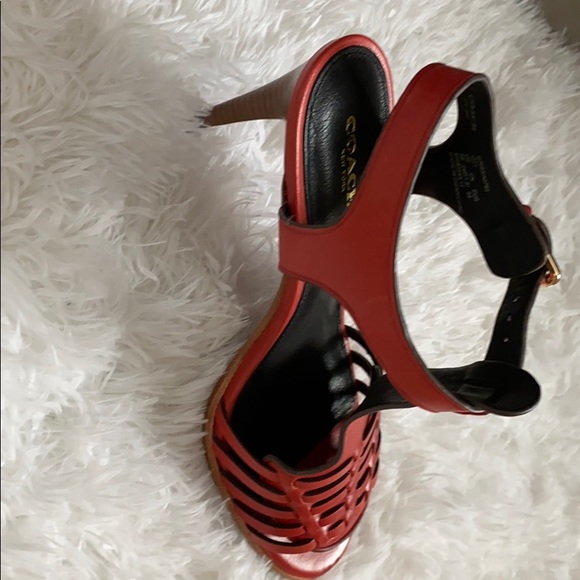 Coach Izzy - Picture 7 of 8